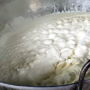 milk cream